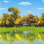 Ролл-шторы с фоторисунком. Арт. X-1027